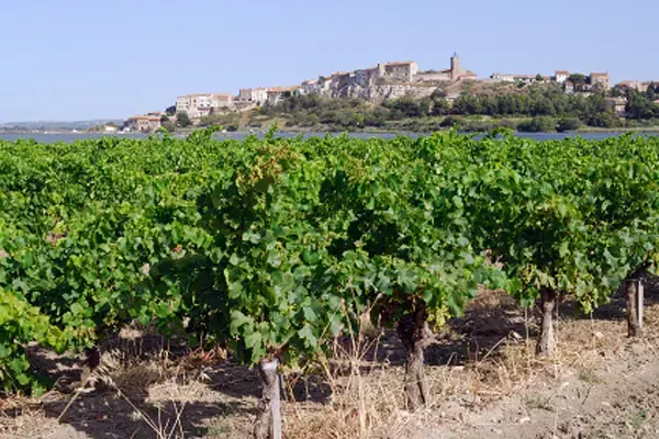 Abri Piscine Coulissant Devis abri de piscine Bages