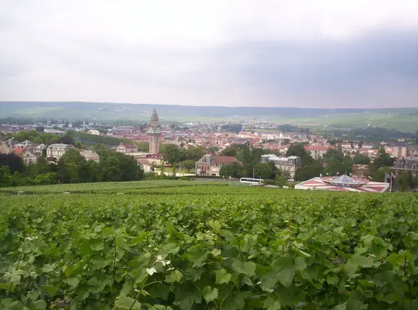 Abri Piscine Coulissant Devis abri de piscine Épernay
