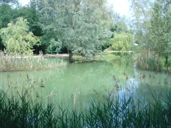 Abri Piscine Coulissant Devis abri de piscine Foulayronnes
