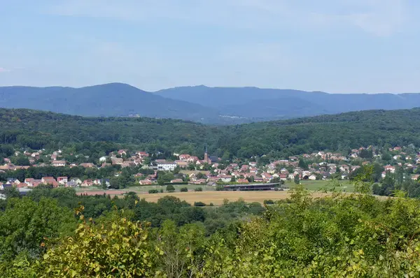 Abri Piscine Coulissant Devis abri de piscine Offemont