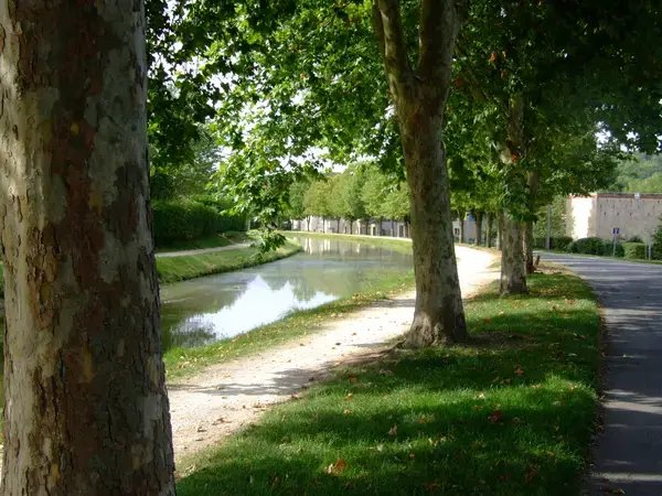 Abri Piscine Coulissant Devis abri de piscine Saint-Amand-Montrond