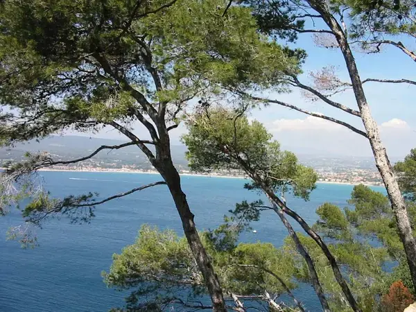 Abri Piscine Coulissant Devis abri de piscine Saint-Cyr-sur-Mer